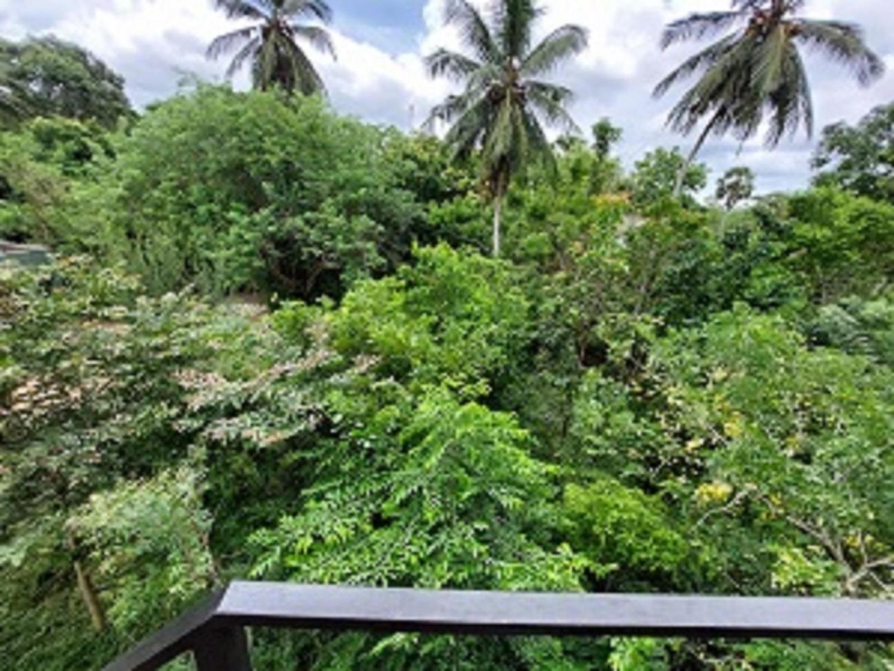 Wilpattu Tree House Bed and Breakfast Nochchiyagama Exterior foto