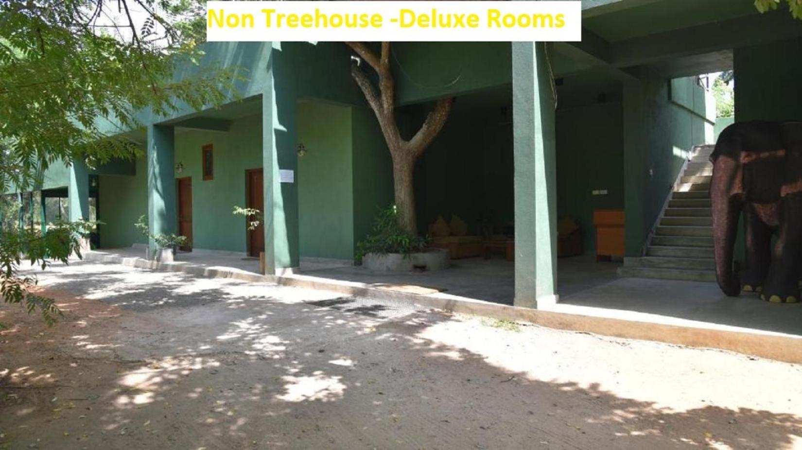 Wilpattu Tree House Bed and Breakfast Nochchiyagama Exterior foto