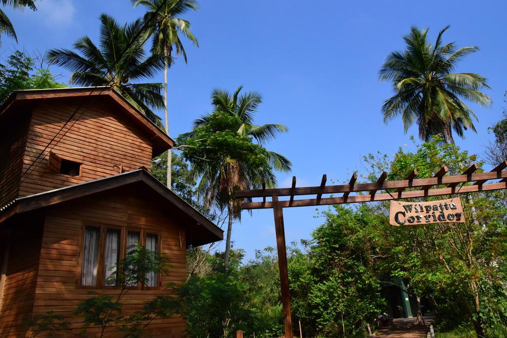 Wilpattu Tree House Bed and Breakfast Nochchiyagama Exterior foto